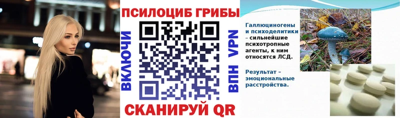 Псилоцибиновые грибы прущие грибы мега зеркало Курганинск купить